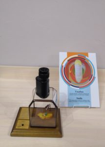Анискин и микроскоп